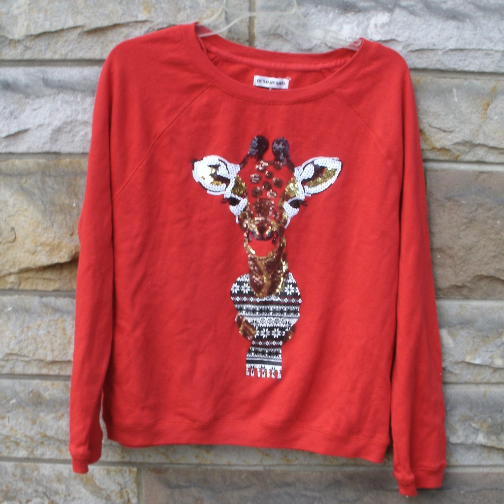 Sequin Giraffe Wearing Scarf Long Sleeve Shirt